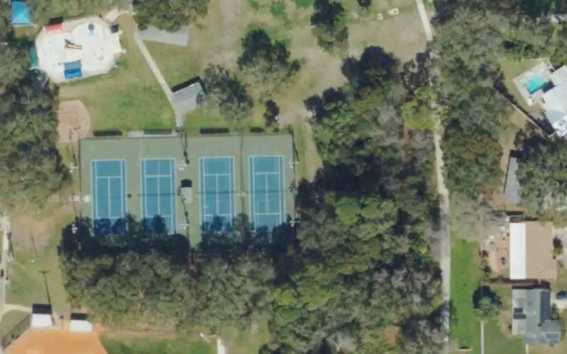 Dunedin Community Center photo 2