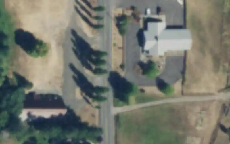 The Longbranch Improvement Club photo 2