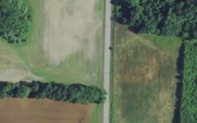 Williamson Town Courts photo 2