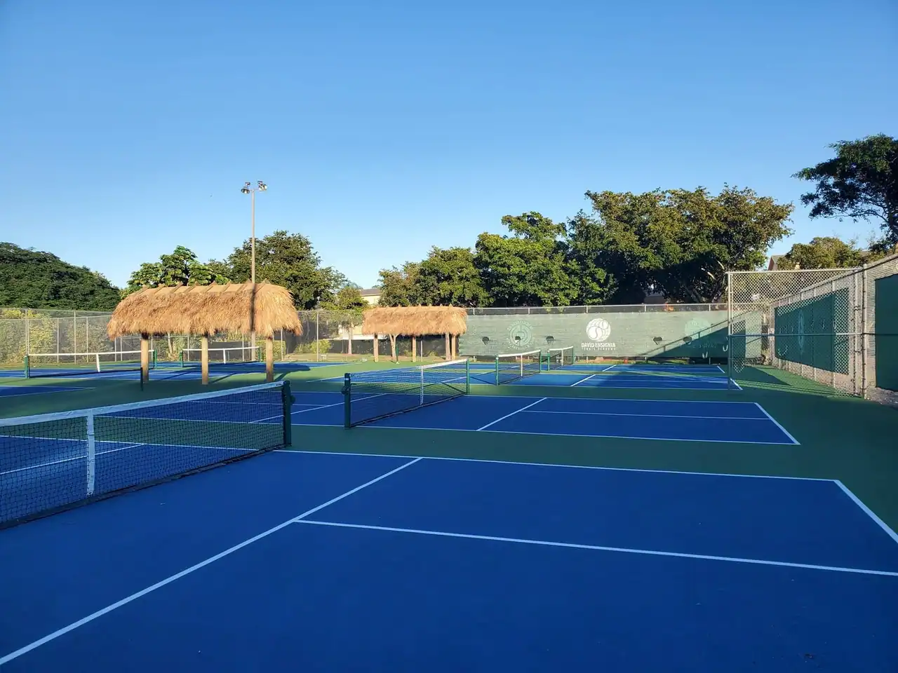 DETA Pickleball Club photo 2