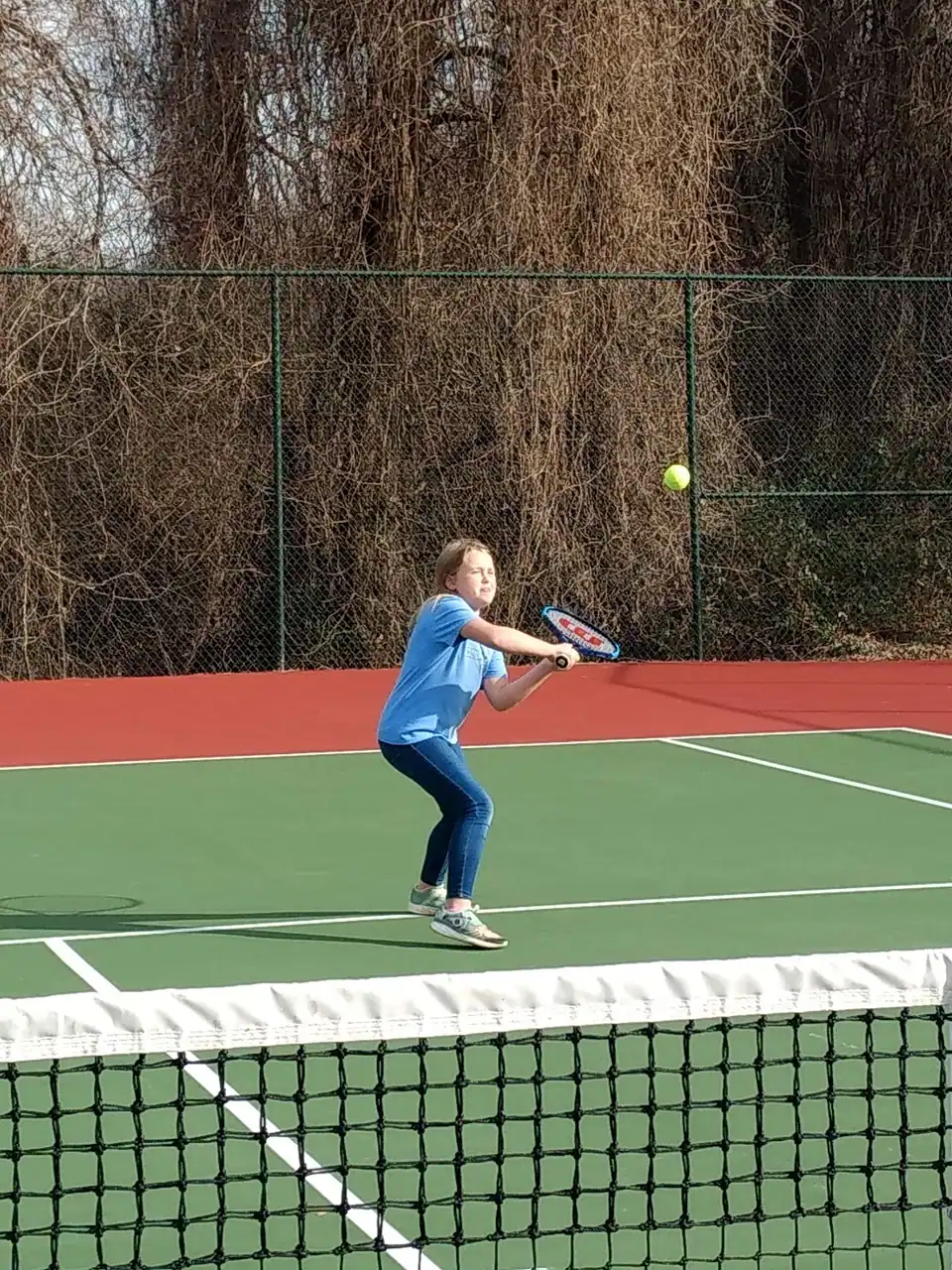 Davis Park Tennis Courts photo 2