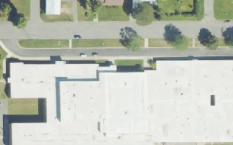 Forest Park School photo 2