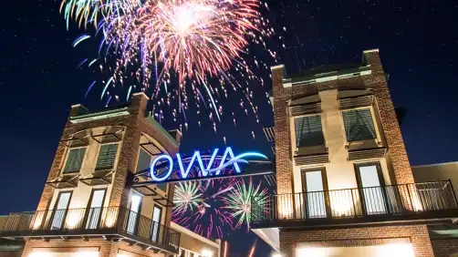 OWA Parks & Resort photo 2