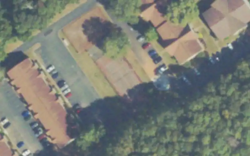 Athens YWCO photo 3
