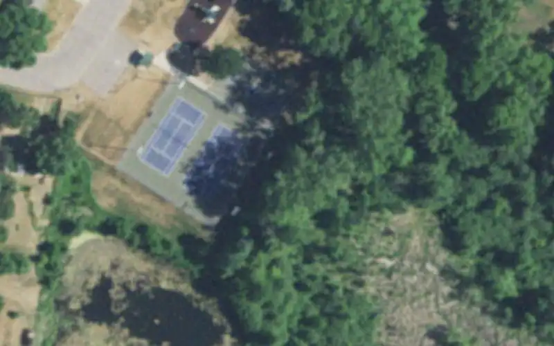 Spicer Tennis Courts photo 3