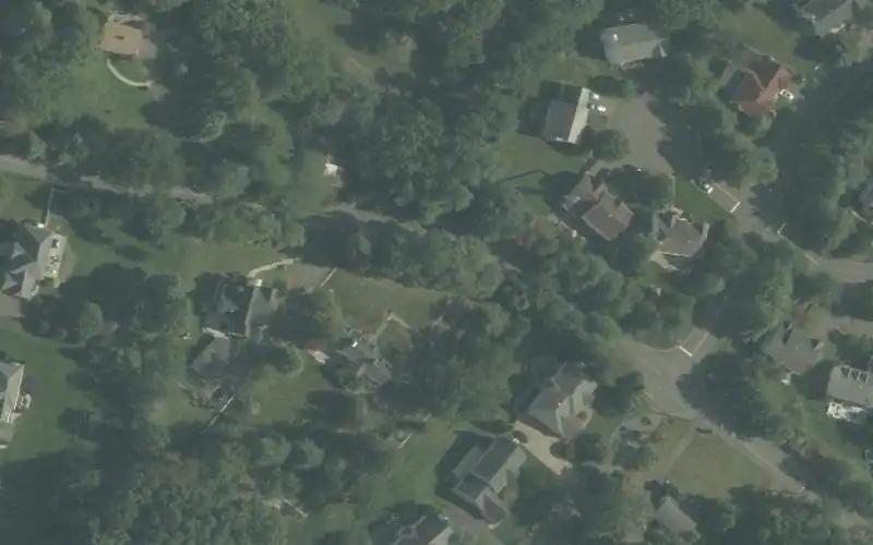 Berwyck Chase photo 2