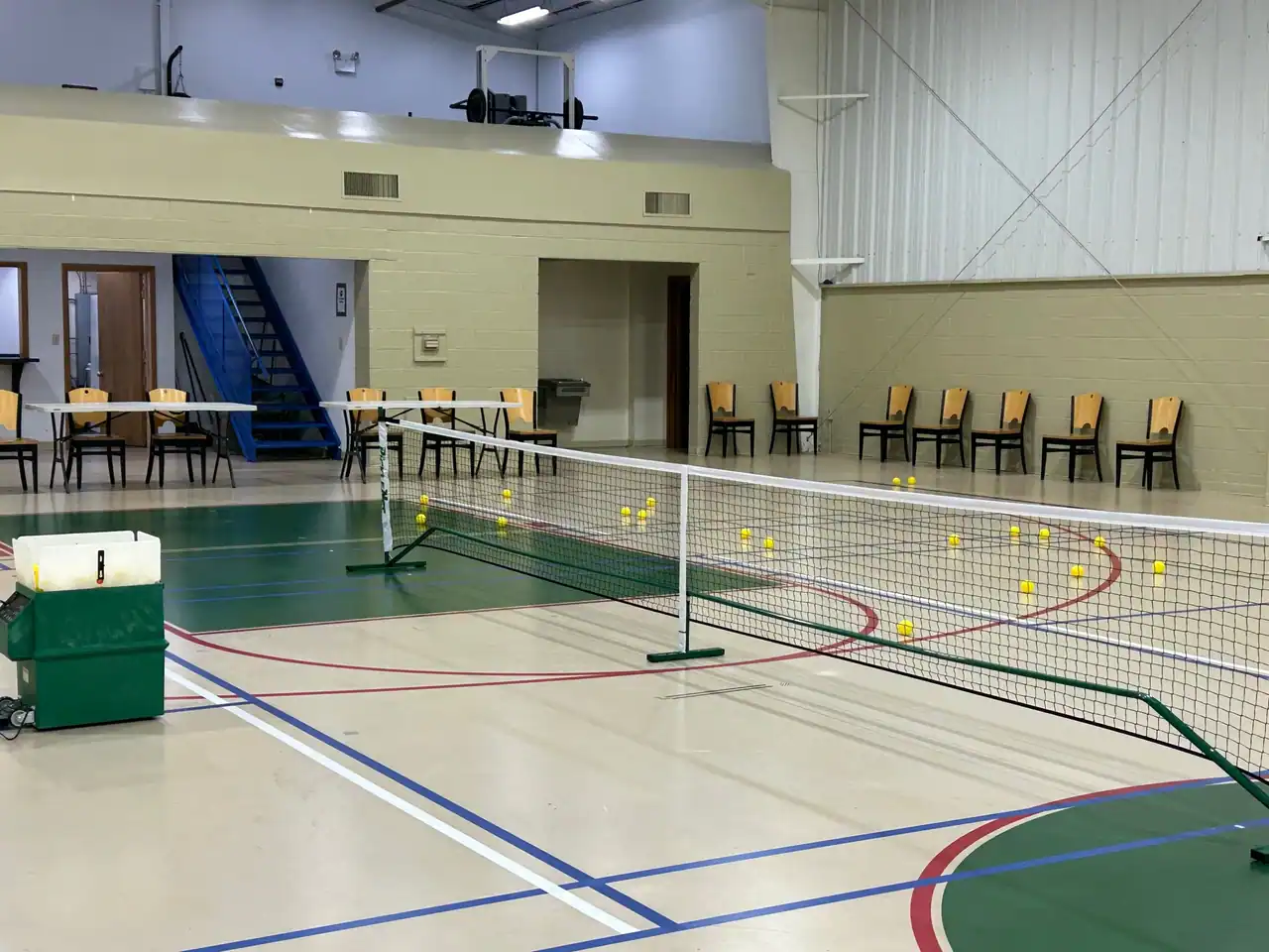 Rally Niagara Badminton & Pickleball - Zion Dominion photo 2