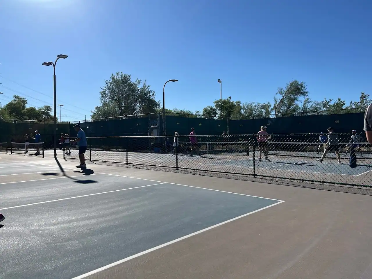 Surprise Community Park Pickleball Courts photo 3