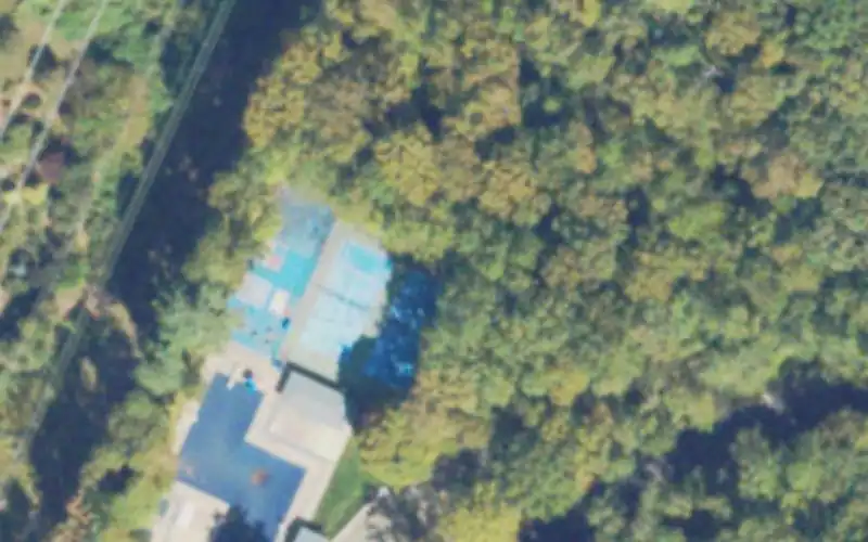Cottontail Swim & Racquet Club photo 2
