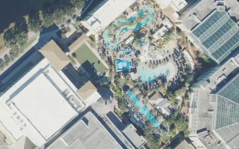 Gaylord Palms Resort & Convention Center photo 3