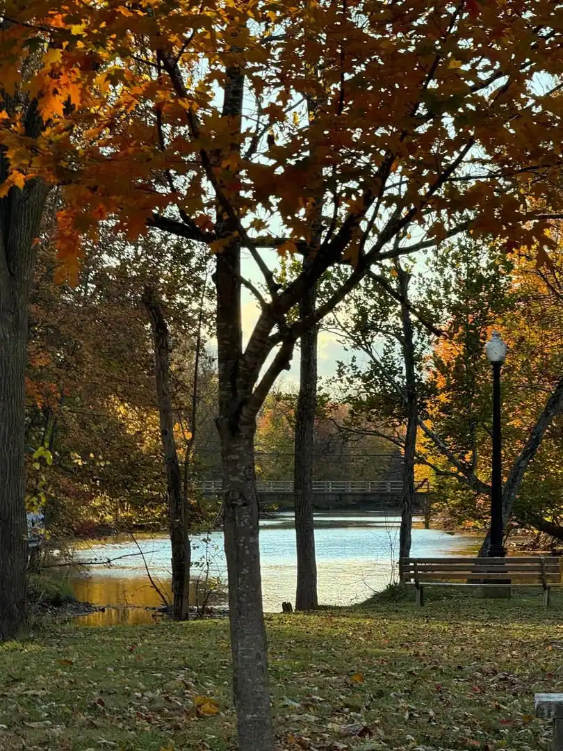 Riverview Park photo 3