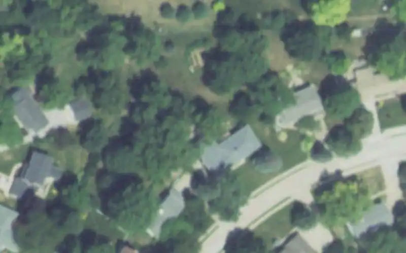 Meadow Lane Park photo 3