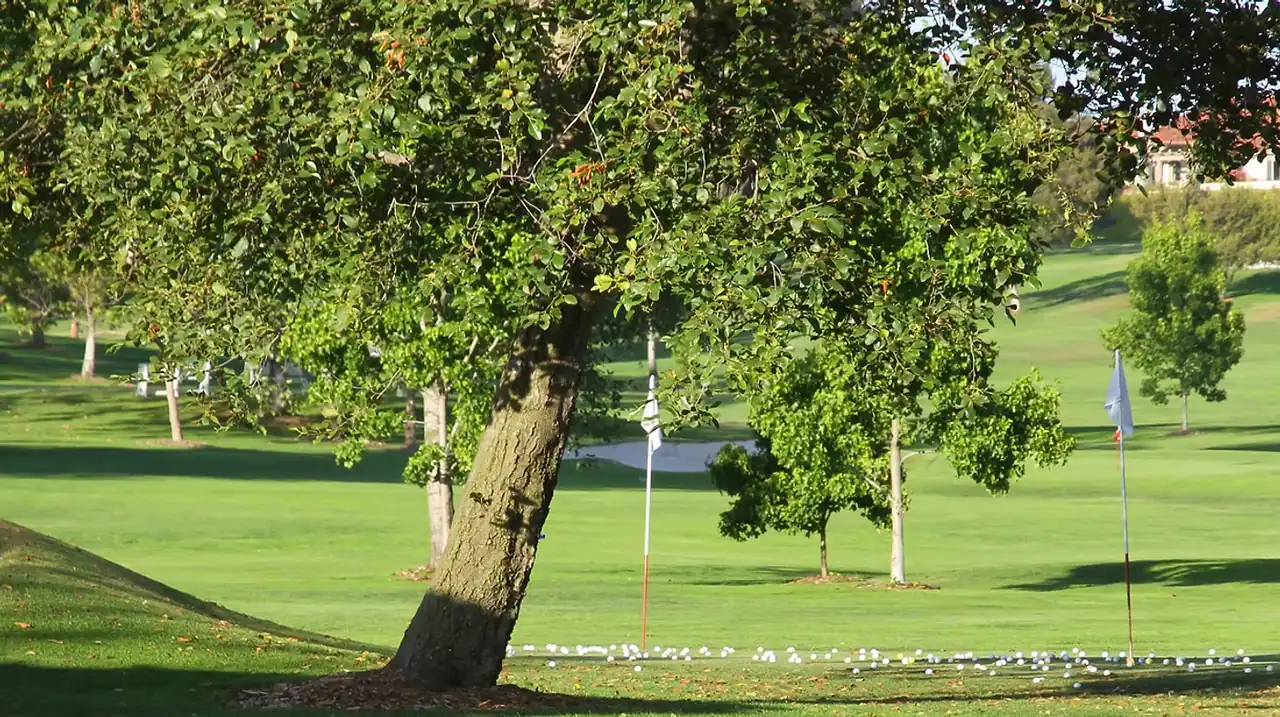 Ocean Hills Country Club photo 4