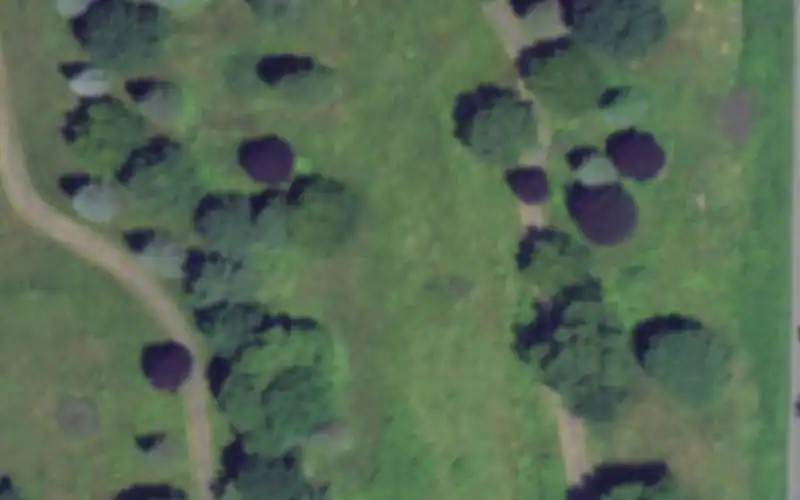 Shadow Pines Park photo 2