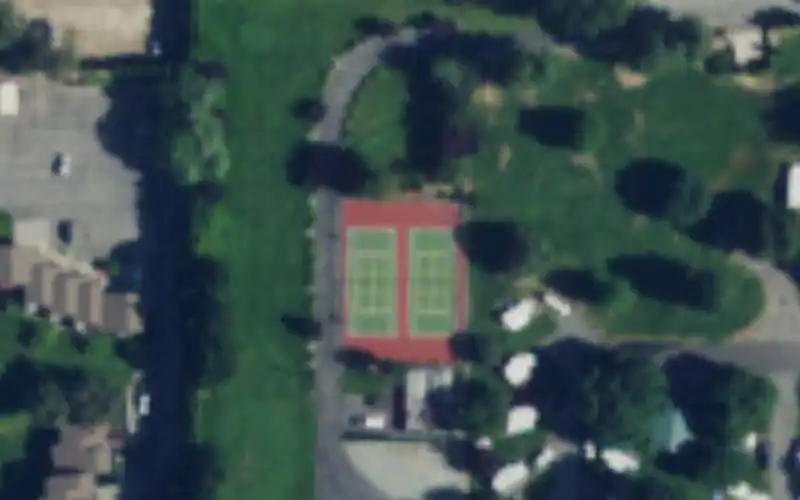 Darnell's Lake Resort photo 3