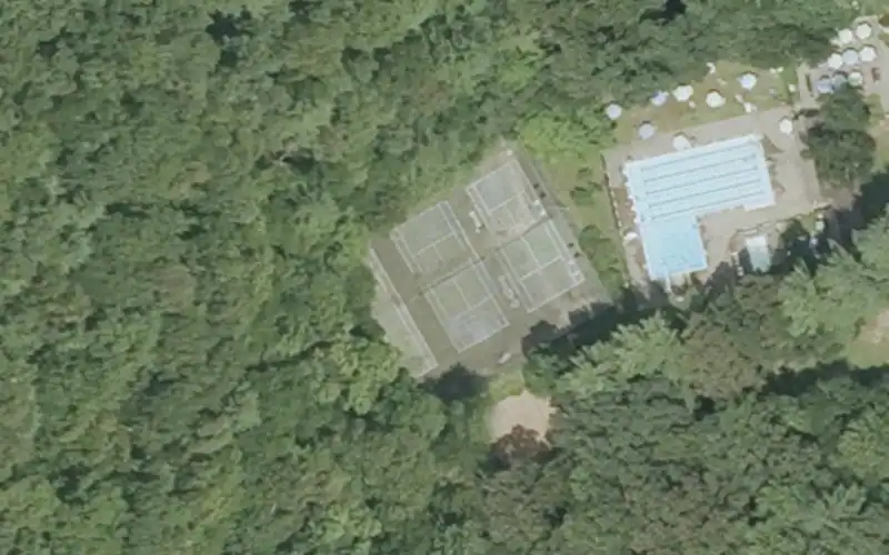 Pinebrook Pool Club photo 2