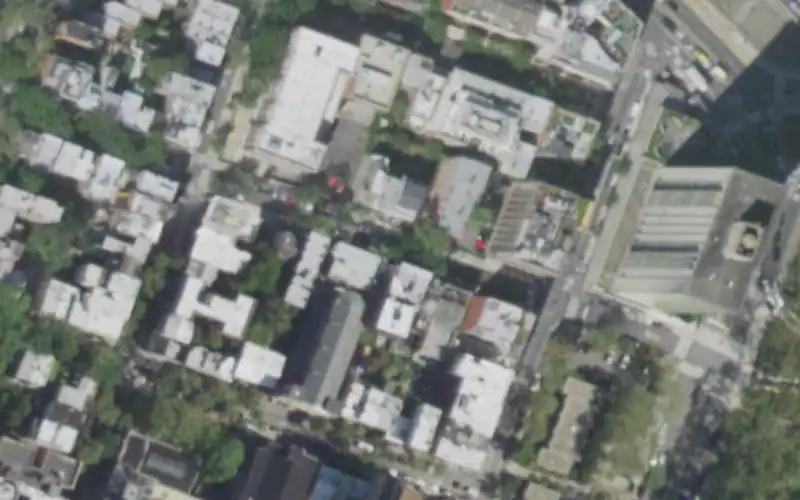 Squibb Park photo 2
