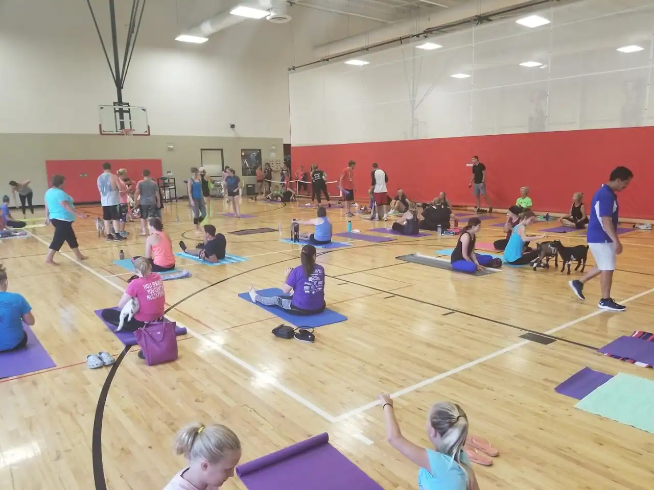 Caylor-Nickel Foundation Family YMCA photo 2