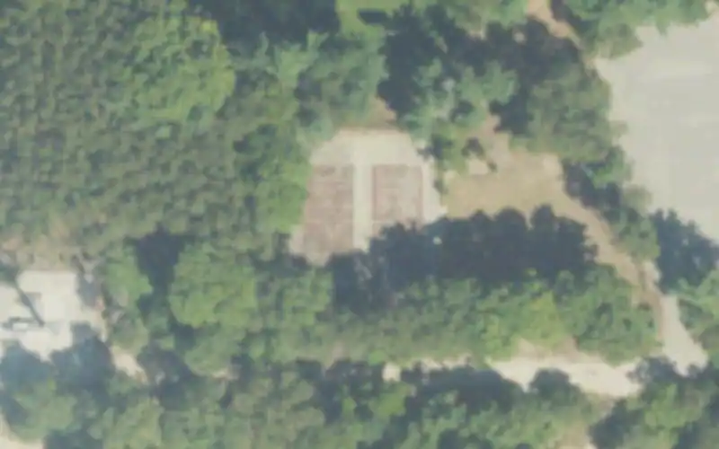 Pine Park photo 2