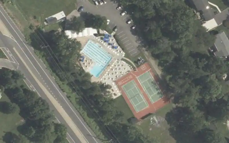 Westminster Club photo 2