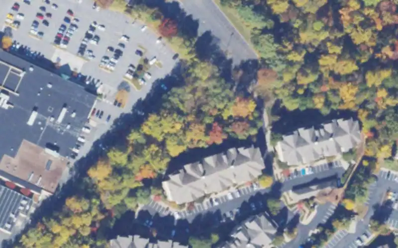 ACAC Fitness & Wellness Center- Albemarle Square photo 2