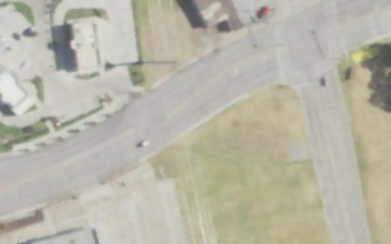 At Fault photo 4