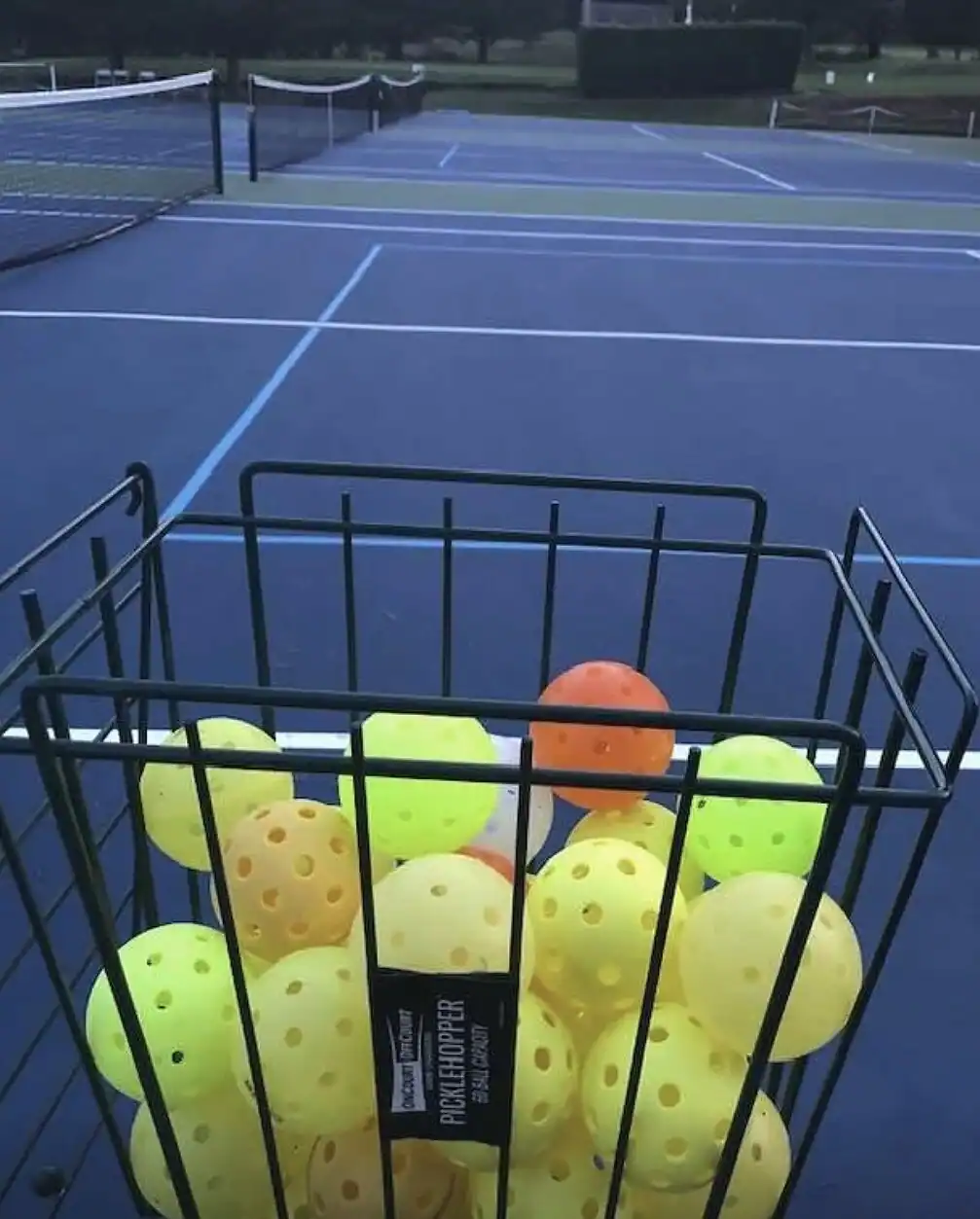 MD Pickleball at XCEL Sports and Fitness photo 3