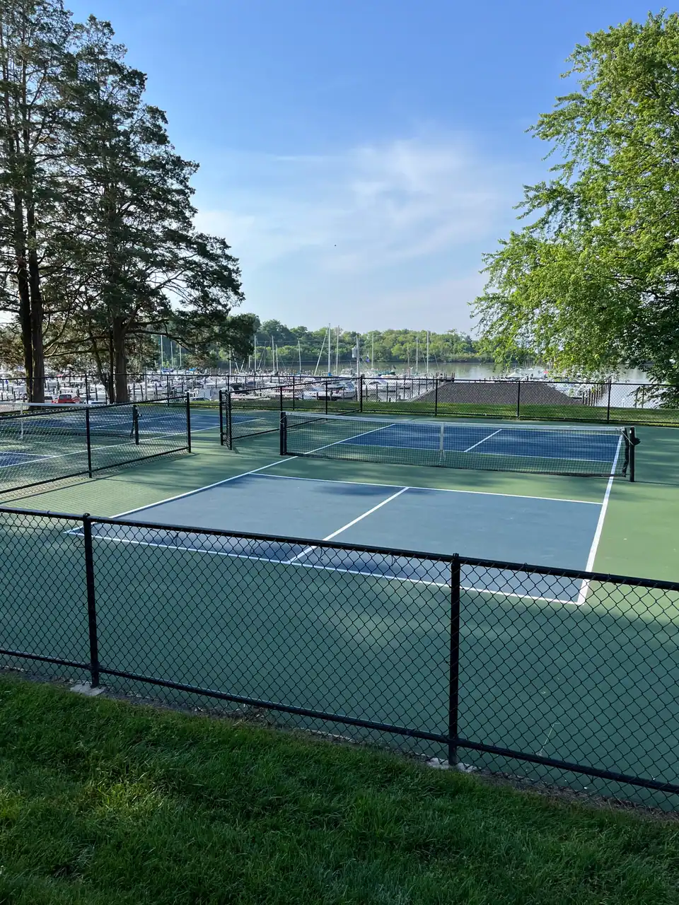 Millard Tydings Memorial Park photo 3