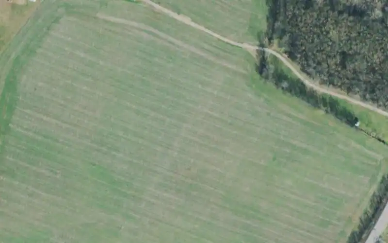 Farm and Forge Tennis Club photo 2