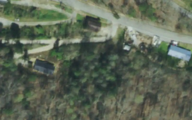 Lonas Young Park photo 2