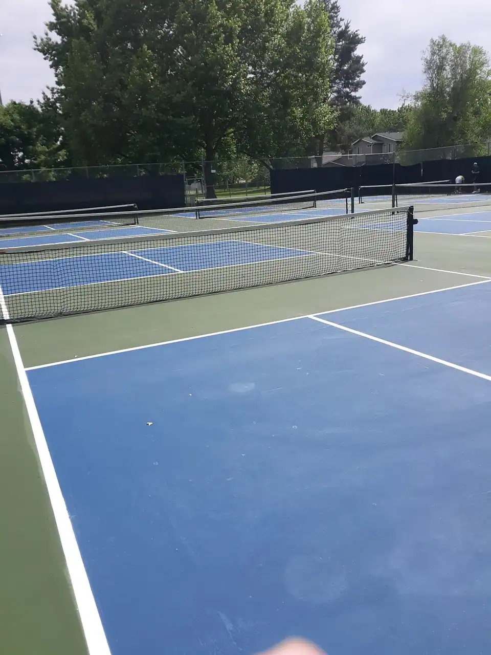 Willow Lane Athletic Complex photo 2