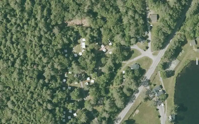 Aloha Hive Camp photo 2
