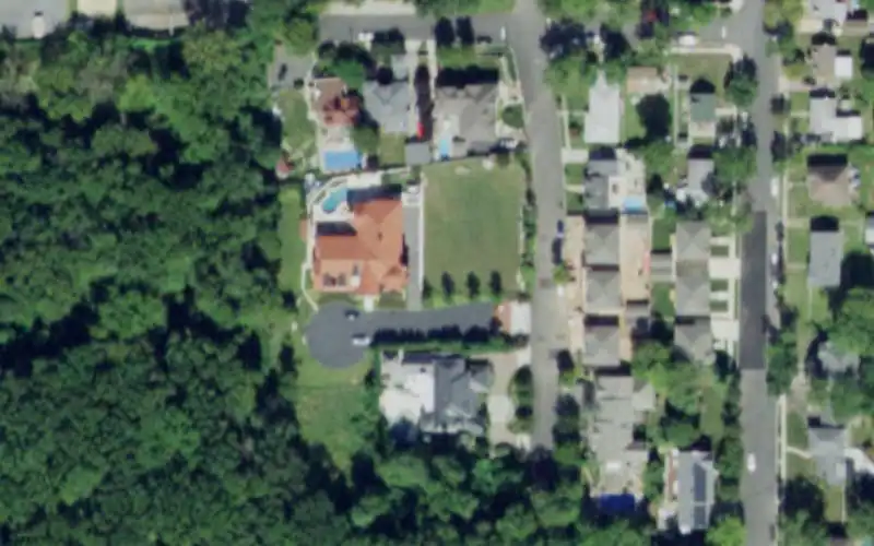 South Shore Swimming Club photo 2