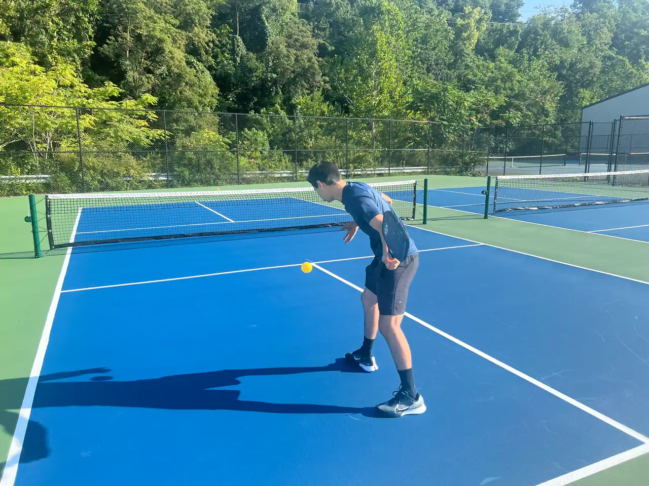 Alpha Tennis & Fitness photo 2