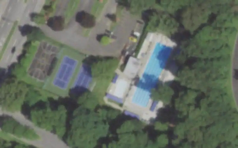 Westwood Swim & Tennis photo 2
