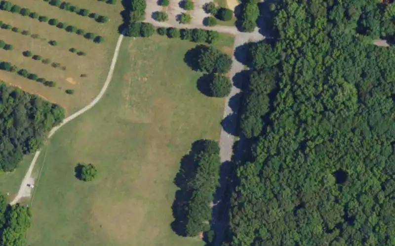 Dan Nicholas Park photo 2