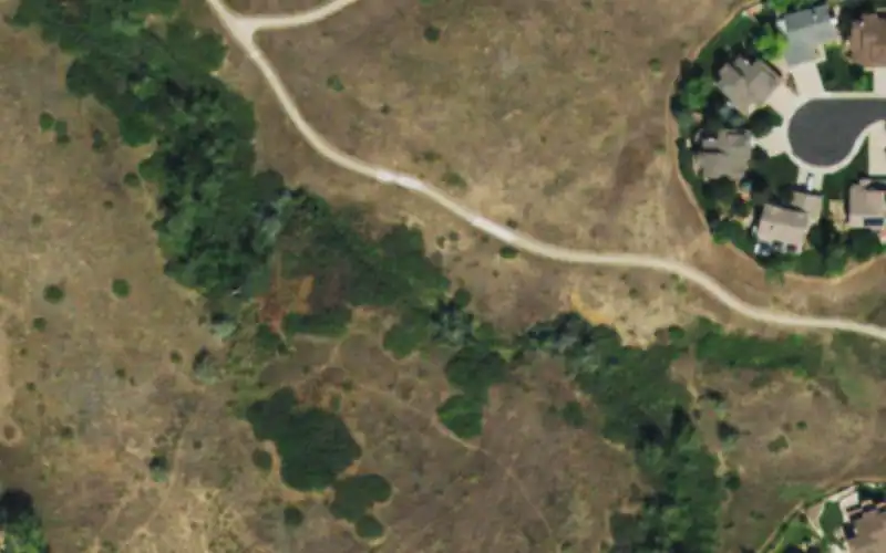 Palomino Park photo 3