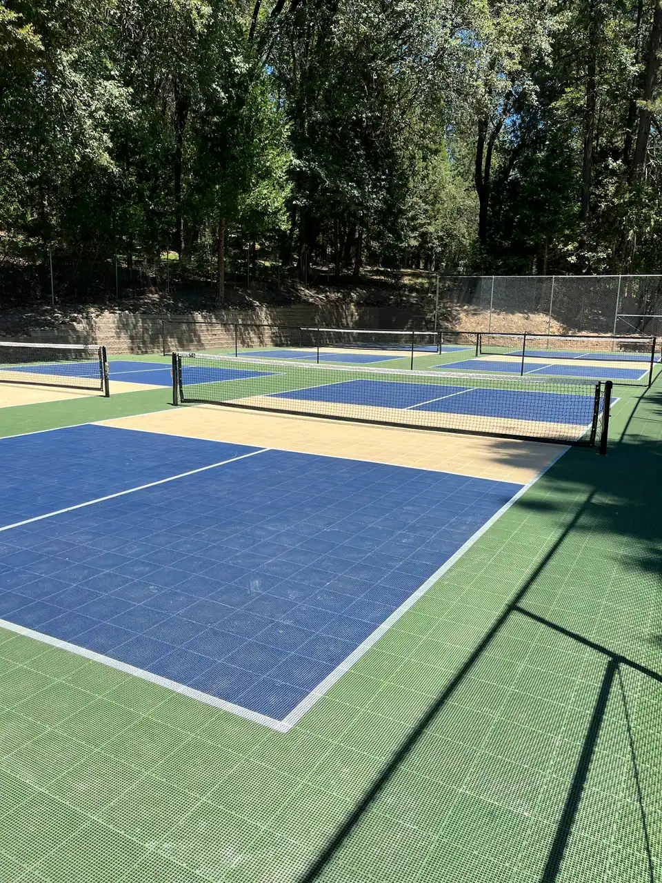 Twain Harte Pickleball Courts photo 2