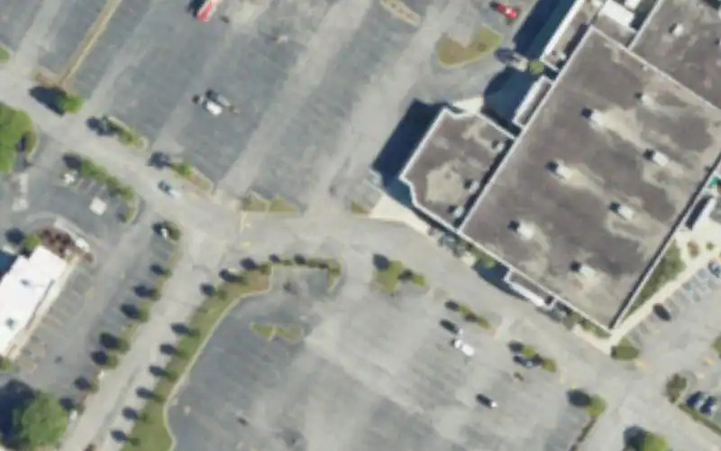 Collins Park Pickleball Courts photo 2