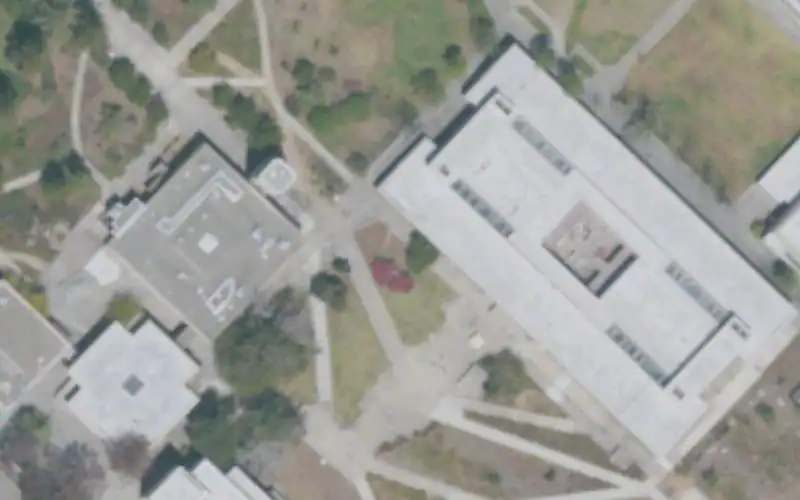 Merritt College photo 2