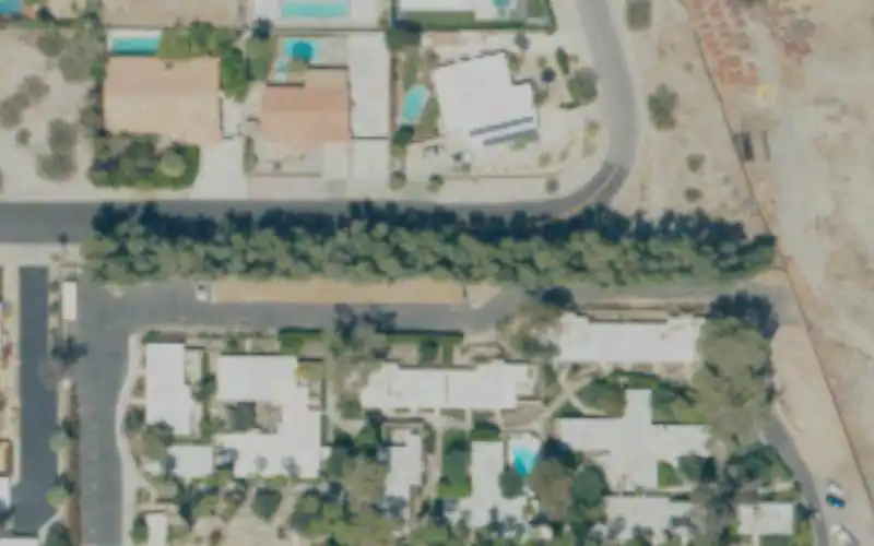 The Racquet Club of Palm Springs photo 2