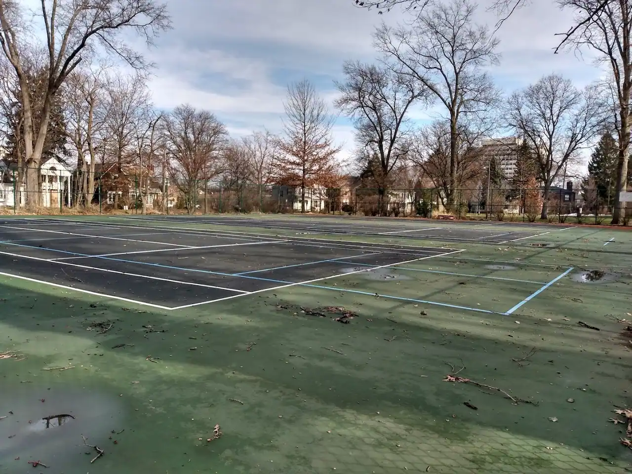 Sussex Park photo 2