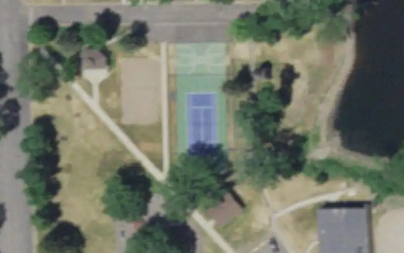 Library Park photo 2