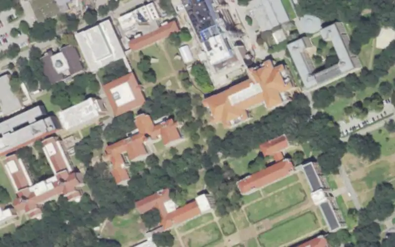 Rice University photo 3