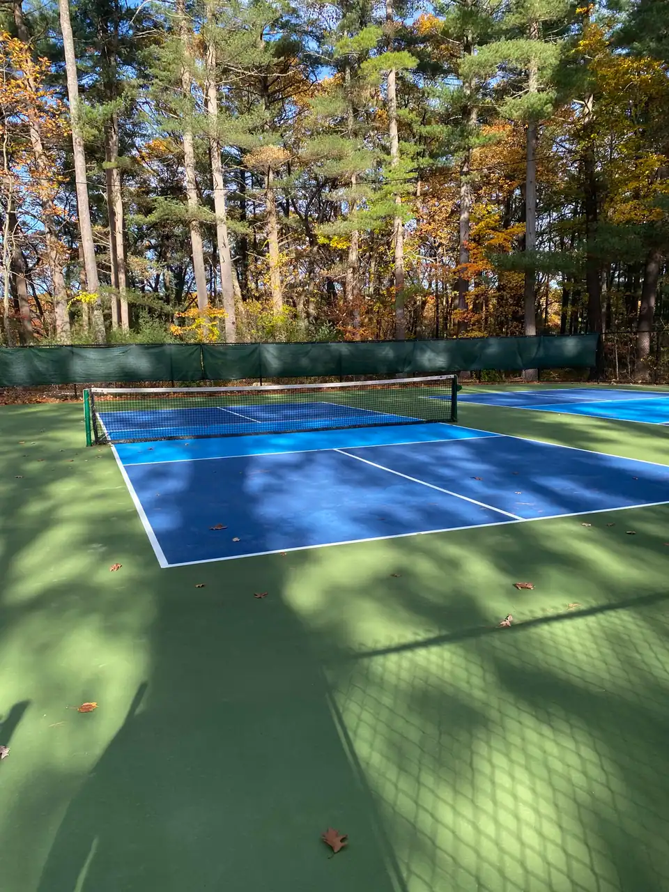Recreation Park Pickleball Courts photo 2