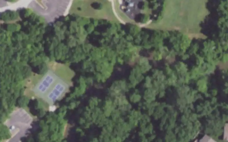 Dames Park photo 2