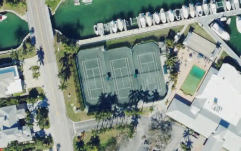 Bird Key Yacht Club photo 2
