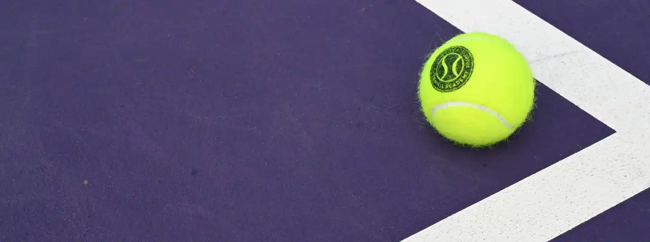 Billie Jean King Tennis Center photo 2