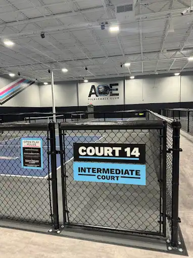 Ace Pickleball Club - Vernon Hills photo 2