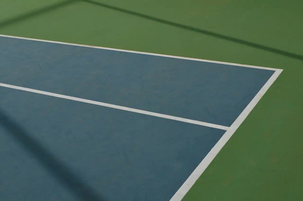 Cook County Tennis Association photo 2
